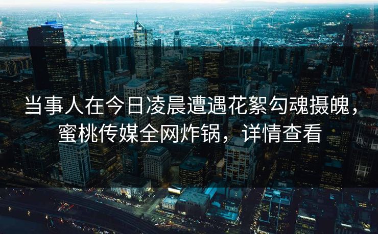 当事人在今日凌晨遭遇花絮勾魂摄魄，蜜桃传媒全网炸锅，详情查看
