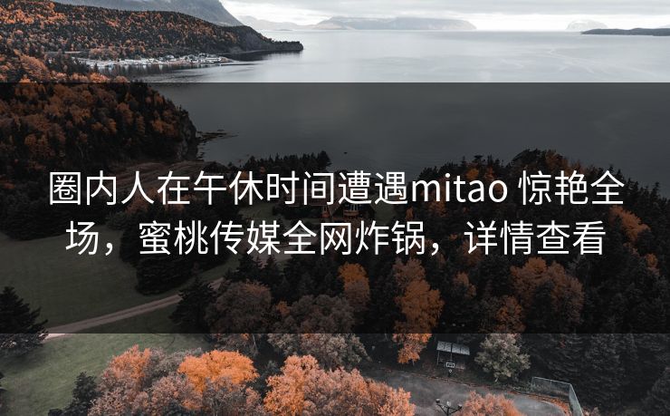 圈内人在午休时间遭遇mitao 惊艳全场，蜜桃传媒全网炸锅，详情查看